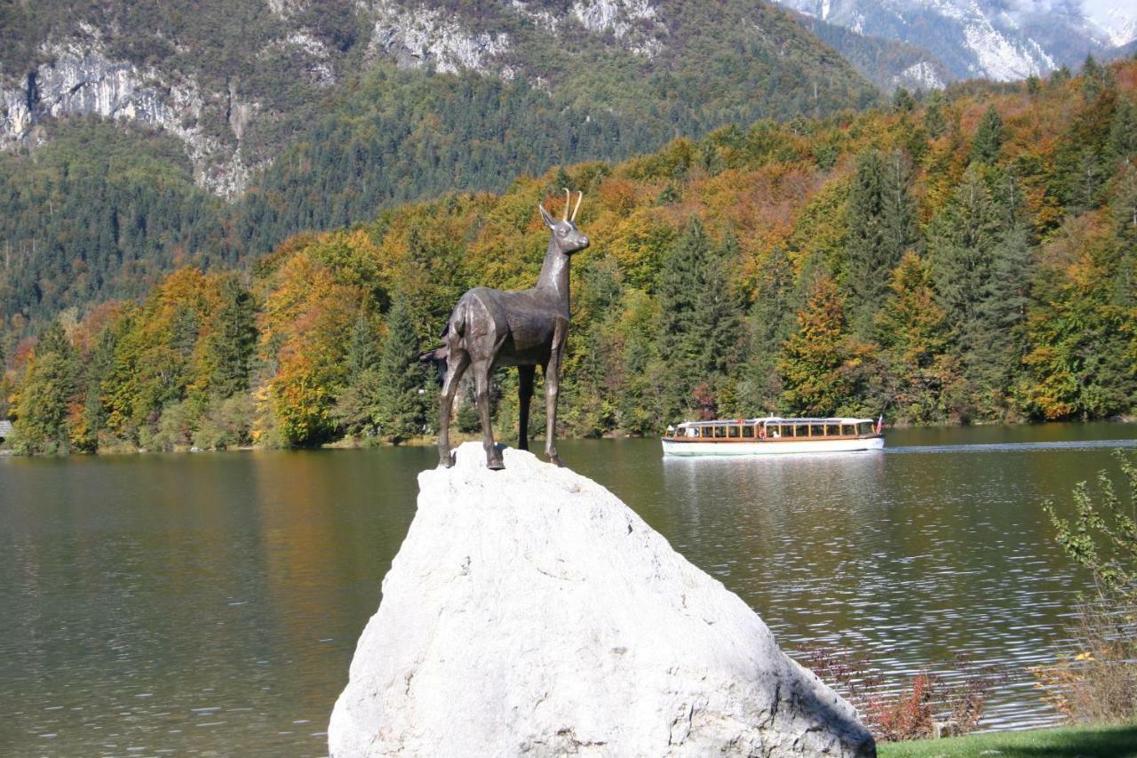 Apartment Ravnik Brod 13 Bohinj Eksteriør billede