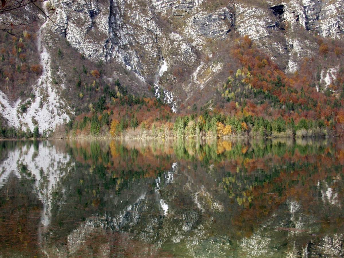 Apartment Ravnik Brod 13 Bohinj Eksteriør billede