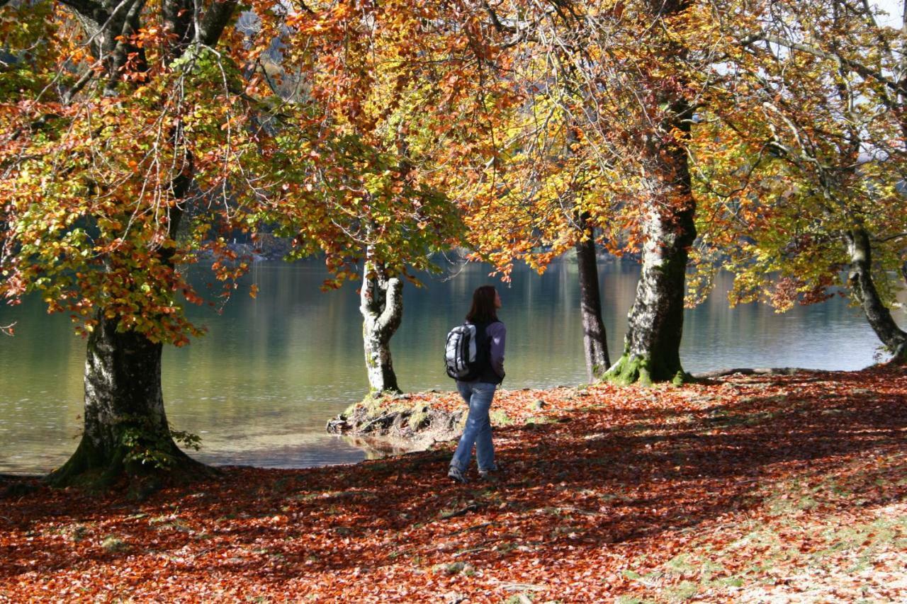 Apartment Ravnik Brod 13 Bohinj Eksteriør billede